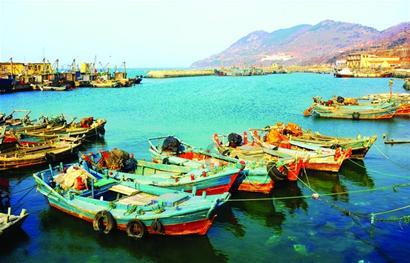 加沙地带流离失所者四处辗转 容身之所难寻觅