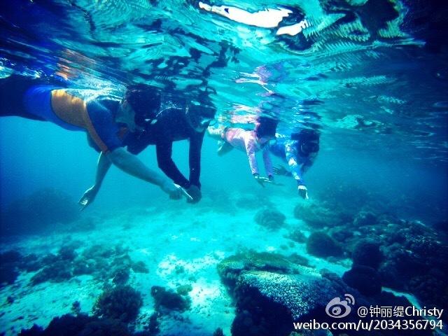 探索世界奇妙之旅,尽在植物小蓬草长什么样?蜗牛问答平台